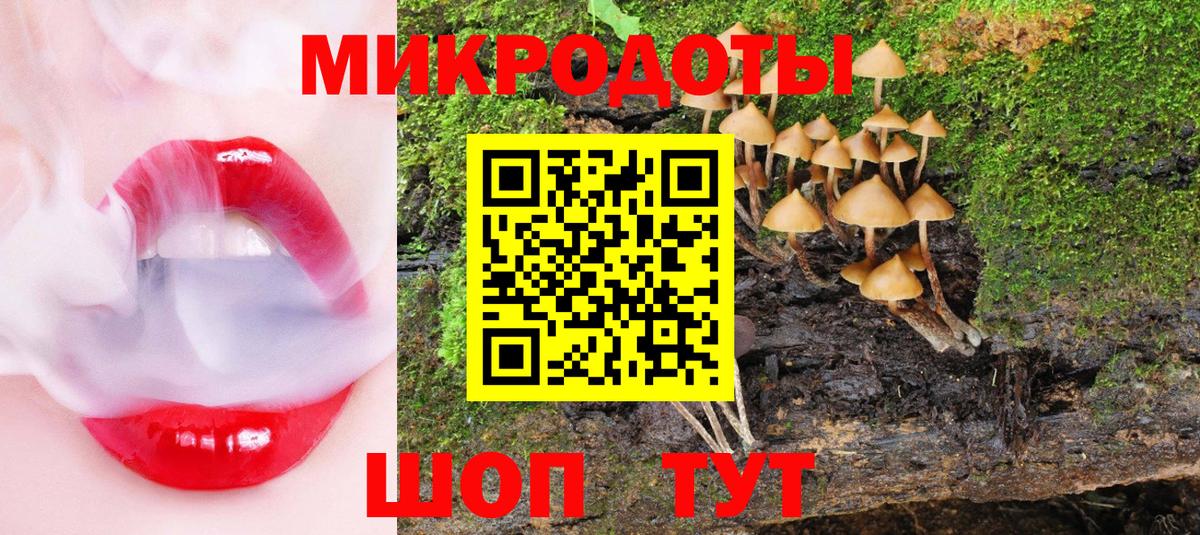 Лабинск  Галлюциногенные грибы Psilocybe  Вход с VPN 